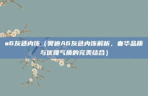 a6灰色内饰(奥迪A6灰色内饰解析,奢华品质与优雅气质的完美结合)