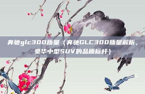 奔驰glc300质量（奔驰GLC300质量解析，豪华中型SUV的品质标杆）