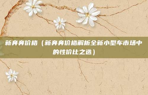 新奔奔价格(新奔奔价格解析全新小型车市场中的性价比之选)