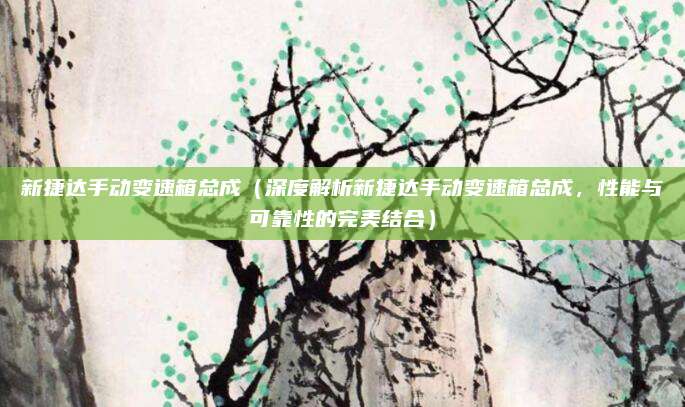 新捷达手动变速箱总成(深度解析新捷达手动变速箱总成,性能与可靠性的完美结合)
