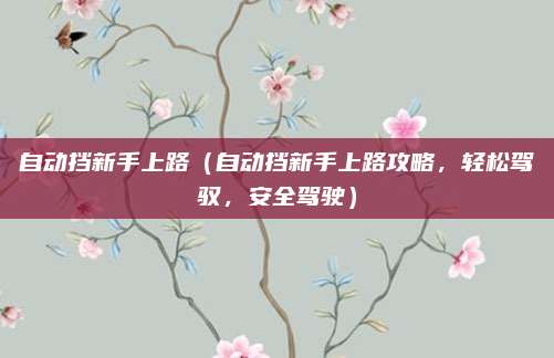 自动挡新手上路(自动挡新手上路攻略,轻松驾驭,安全驾驶)