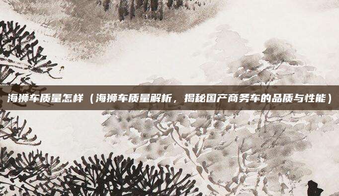 海狮车质量怎样（海狮车质量解析，揭秘国产商务车的品质与性能）