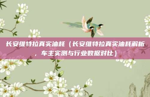 长安维特拉真实油耗（长安维特拉真实油耗解析，车主实测与行业数据对比）