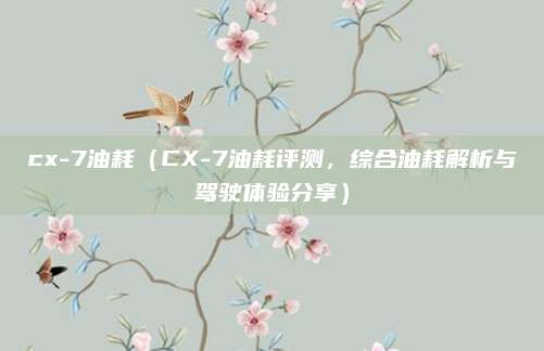 cx-7油耗（CX-7油耗评测，综合油耗解析与驾驶体验分享）