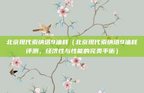 北京现代索纳塔9油耗（北京现代索纳塔9油耗评测，经济性与性能的完美平衡）