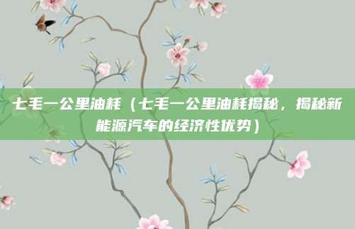 七毛一公里油耗(七毛一公里油耗揭秘,揭秘新能源汽车的经济性优势)
