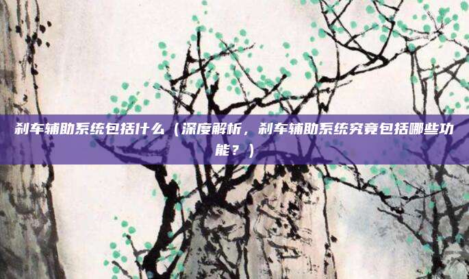 刹车辅助系统包括什么（深度解析，刹车辅助系统究竟包括哪些功能？）