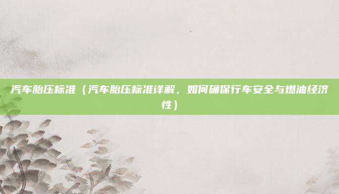汽车胎压标准（汽车胎压标准详解，如何确保行车安全与燃油经济性）