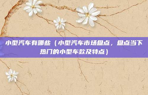 小型汽车有哪些（小型汽车市场盘点，盘点当下热门的小型车款及特点）