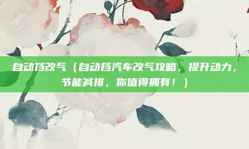 自动挡改气(自动挡汽车改气攻略,提升动力,节能减排,你值得拥有!)