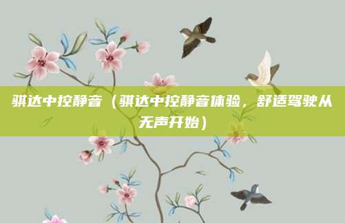 骐达中控静音(骐达中控静音体验,舒适驾驶从无声开始)