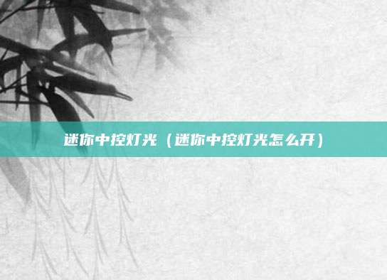 迷你中控灯光(迷你中控灯光怎么开)