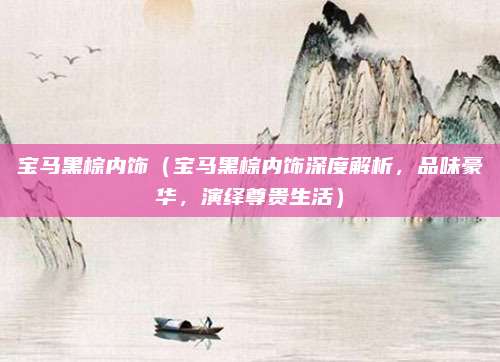 宝马黑棕内饰（宝马黑棕内饰深度解析，品味豪华，演绎尊贵生活）