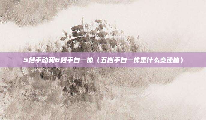 5档手动和6档手自一体(五档手自一体是什么变速箱)