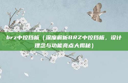 brz中控挡板（深度解析BRZ中控挡板，设计理念与功能亮点大揭秘）