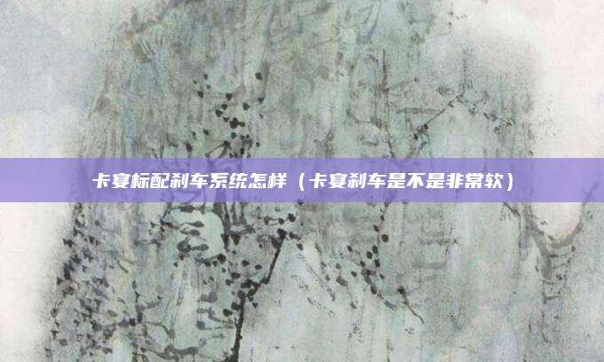 卡宴标配刹车系统怎样(卡宴刹车是不是非常软)