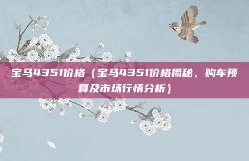 宝马4351价格（宝马4351价格揭秘，购车预算及市场行情分析）