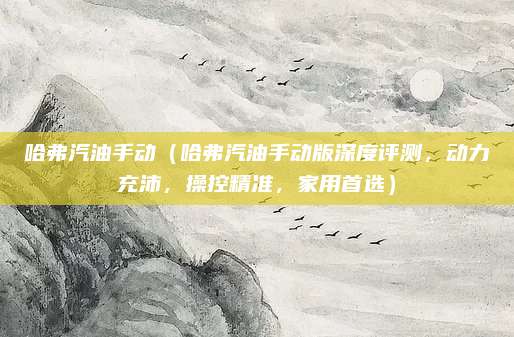 哈弗汽油手动（哈弗汽油手动版深度评测，动力充沛，操控精准，家用首选）