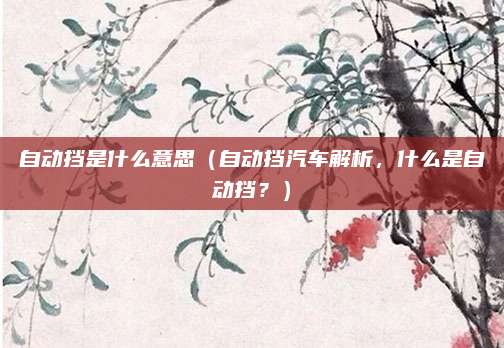 自动挡是什么意思（自动挡汽车解析，什么是自动挡？）