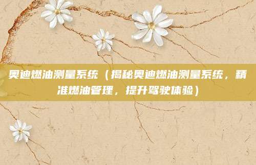 奥迪燃油测量系统（揭秘奥迪燃油测量系统，精准燃油管理，提升驾驶体验）