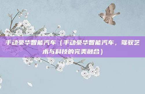 手动豪华智能汽车（手动豪华智能汽车，驾驭艺术与科技的完美融合）