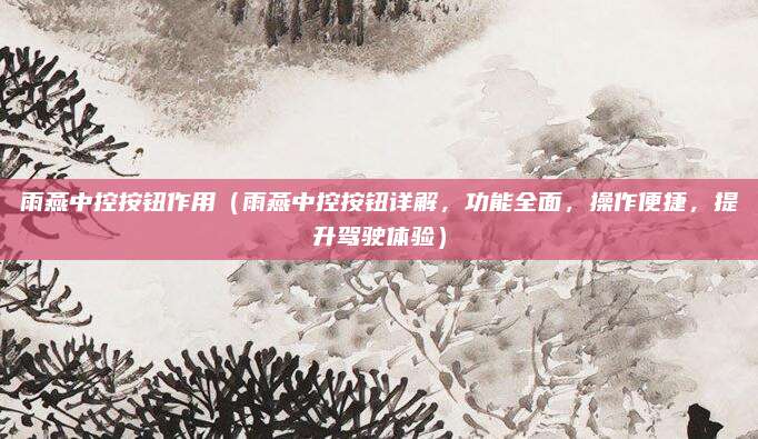 雨燕中控按钮作用（雨燕中控按钮详解，功能全面，操作便捷，提升驾驶体验）