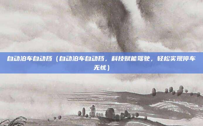 自动泊车自动挡（自动泊车自动挡，科技赋能驾驶，轻松实现停车无忧）
