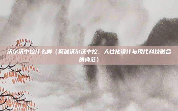 沃尔沃中控什么样（揭秘沃尔沃中控，人性化设计与现代科技融合的典范）