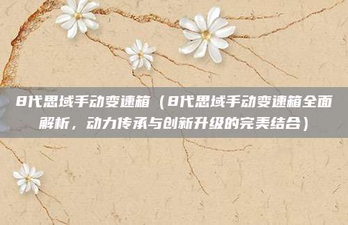 8代思域手动变速箱（8代思域手动变速箱全面解析，动力传承与创新升级的完美结合）