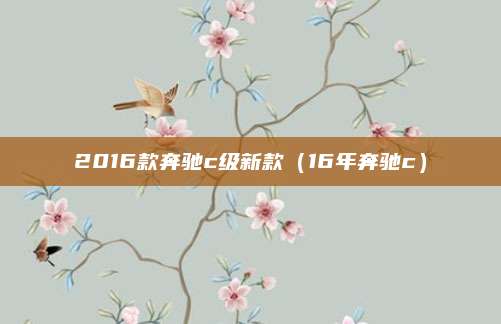 2016款奔驰c级新款(16年奔驰c)