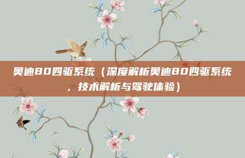 奥迪80四驱系统（深度解析奥迪80四驱系统，技术解析与驾驶体验）