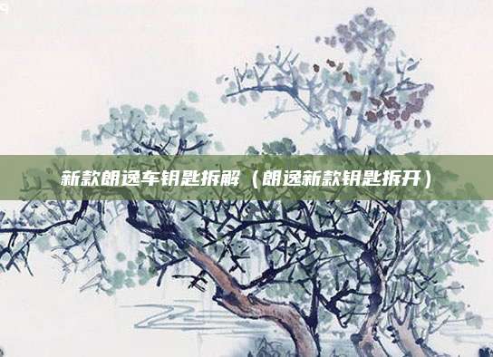 新款朗逸车钥匙拆解(朗逸新款钥匙拆开)