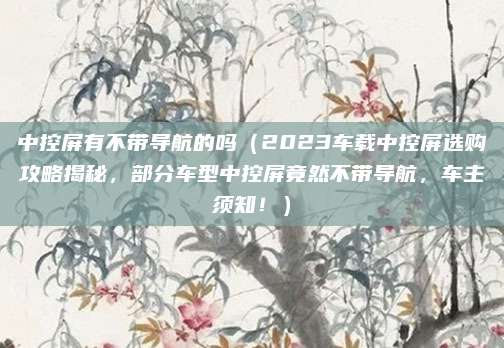中控屏有不带导航的吗（2023车载中控屏选购攻略揭秘，部分车型中控屏竟然不带导航，车主须知！）