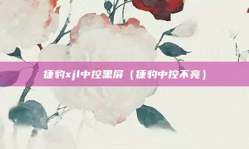 捷豹xjl中控黑屏(捷豹中控不亮)