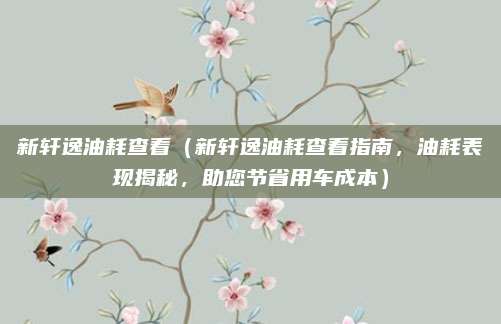 新轩逸油耗查看(新轩逸油耗查看指南,油耗表现揭秘,助您节省用车成本)
