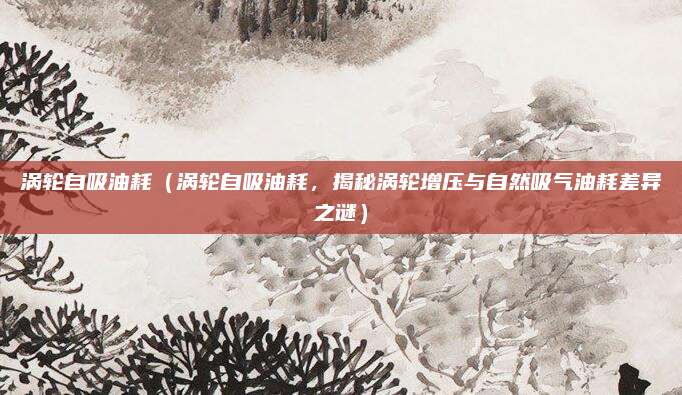 涡轮自吸油耗（涡轮自吸油耗，揭秘涡轮增压与自然吸气油耗差异之谜）