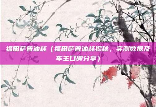 福田萨普油耗（福田萨普油耗揭秘，实测数据及车主口碑分享）