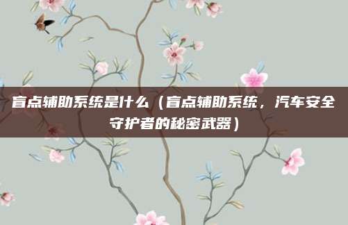 盲点辅助系统是什么（盲点辅助系统，汽车安全守护者的秘密武器）