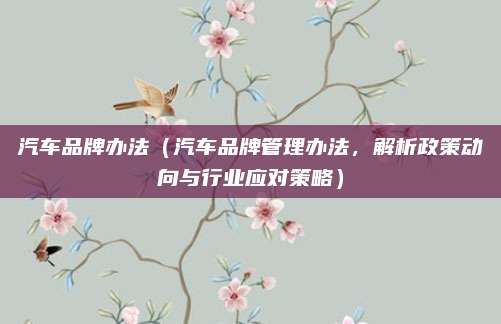 汽车品牌办法（汽车品牌管理办法，解析政策动向与行业应对策略）