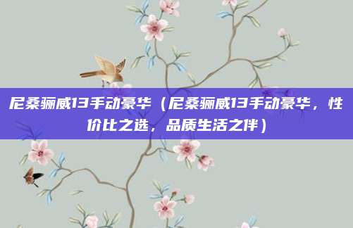 尼桑骊威13手动豪华（尼桑骊威13手动豪华，性价比之选，品质生活之伴）
