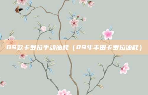 09款卡罗拉手动油耗(09年丰田卡罗拉油耗)