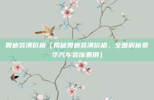 奥迪装潢价格（揭秘奥迪装潢价格，全面解析豪华汽车装饰费用）