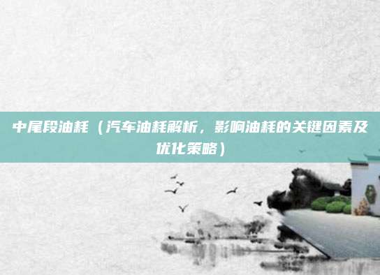 中尾段油耗（汽车油耗解析，影响油耗的关键因素及优化策略）