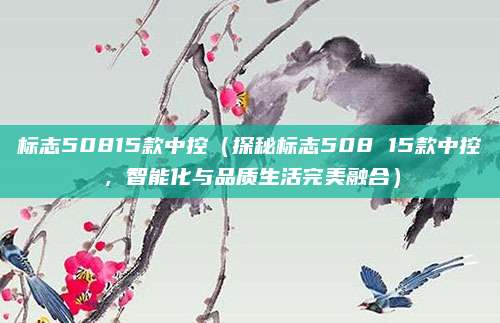 标志50815款中控（探秘标志508 15款中控，智能化与品质生活完美融合）