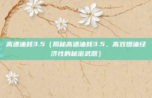高速油耗3.5（揭秘高速油耗3.5，高效燃油经济性的秘密武器）