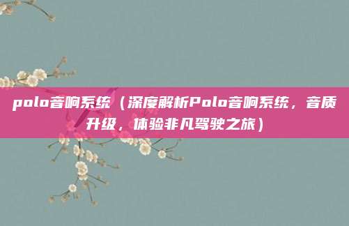 polo音响系统（深度解析Polo音响系统，音质升级，体验非凡驾驶之旅）