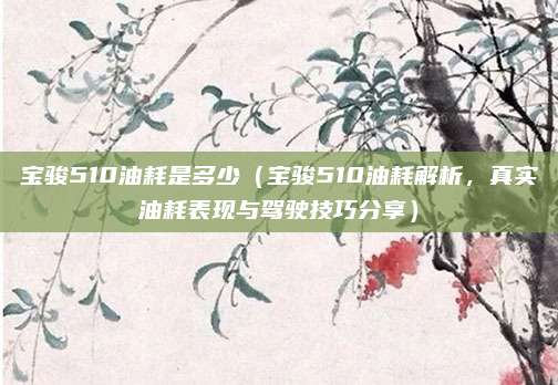 宝骏510油耗是多少（宝骏510油耗解析，真实油耗表现与驾驶技巧分享）