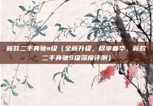 新款二手奔驰s级（全新升级，尽享奢华，新款二手奔驰S级深度评测）