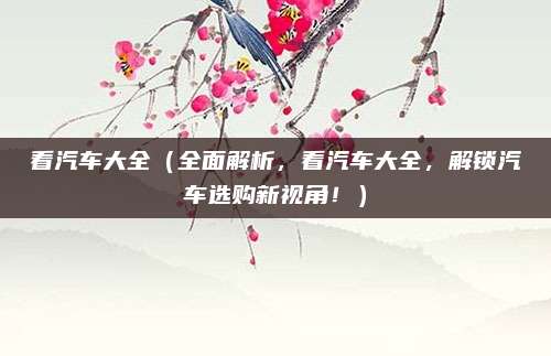看汽车大全(全面解析,看汽车大全,解锁汽车选购新视角!)