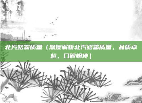 北汽路霸质量(深度解析北汽路霸质量,品质卓越,口碑相传)